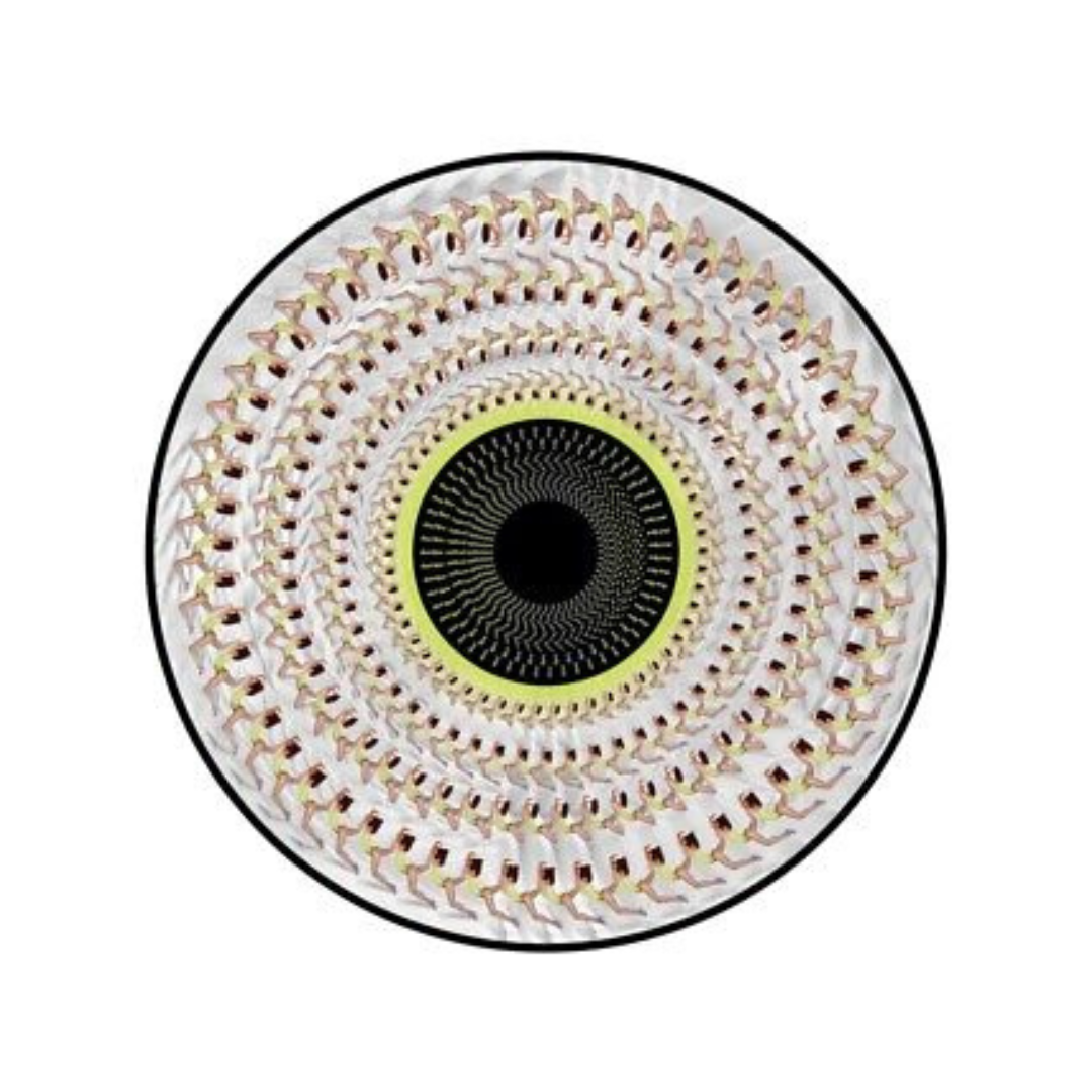 Dua Lipa - Radical Optimism - Zoetrope Vinyl