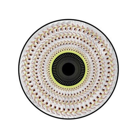 Dua Lipa - Radical Optimism - Zoetrope Vinyl